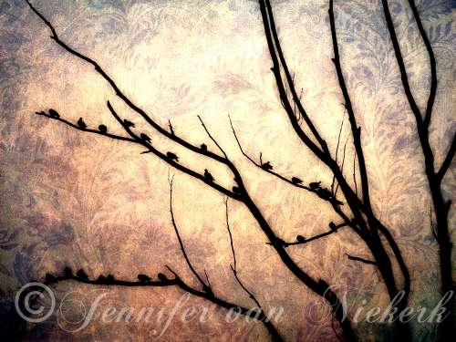 Speckled Pigeon Chic Silhouette [d]